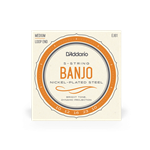 D'Addario EJ61 5-String Banjo