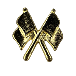 Gold Flag Award Pin