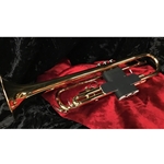 Yamaha YAC 1542P Trumpet Valve Guard - Leather