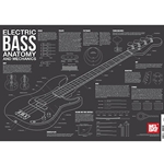 Electric Bass Anatomy and Mechanics -