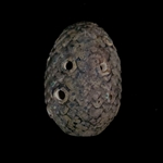 Songbird Ocarina - Dragon Egg 9 Holes