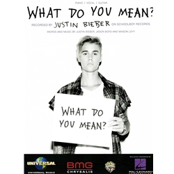 What Do You Mean -