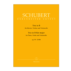 Trio in B flat Major -