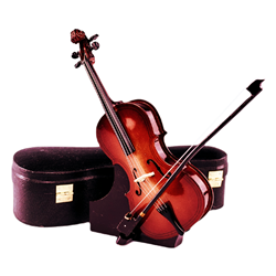 Mini Cello with Stand & Case