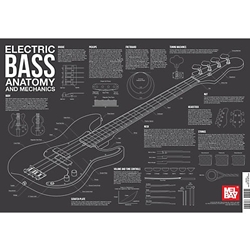 Electric Bass Anatomy and Mechanics -