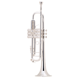 Bach LT180S37 Professional "Stradivarius" Trumpet - Lightweight Body