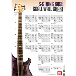 5 String Bass Scale Wall Chart -