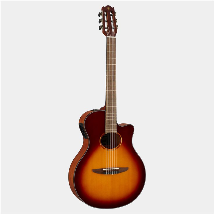 Brown Sunburst Guitar