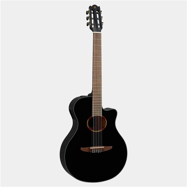Black Guitar